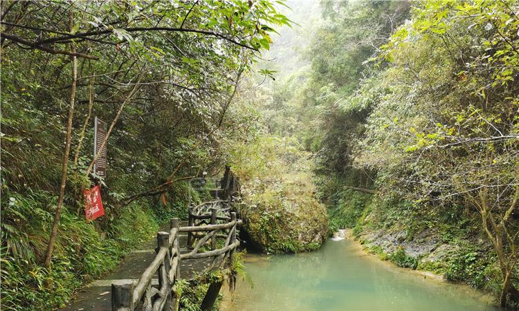 家门口的健康管家,让居民有“医”靠