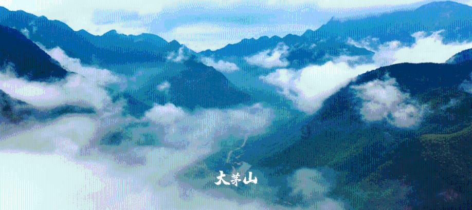 身份证没有磁性怎么补-解答您的疑惑