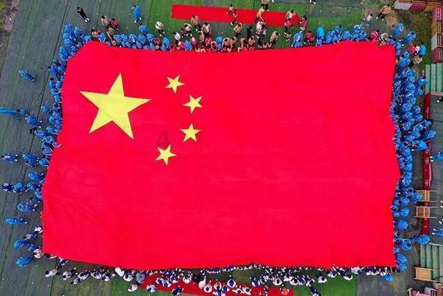 奥日与黑暗森林